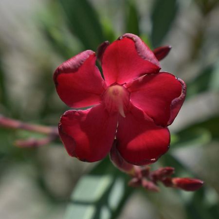 Palmengarten Finning エクステリア 写真