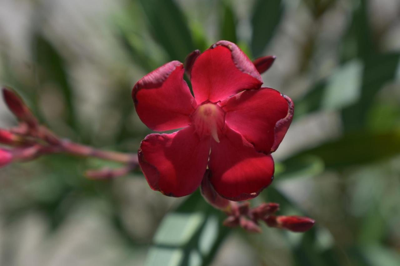 Palmengarten Finning エクステリア 写真